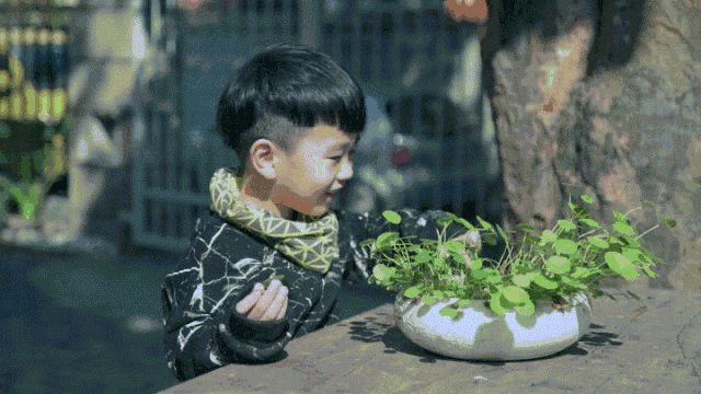 擇思達斯真的有用嗎?家有抽動癥孩子應該注意什么